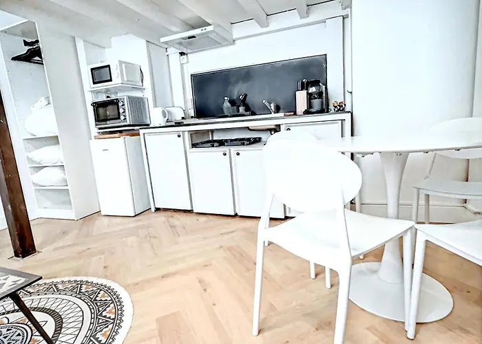 Mini Duplex 50m Du Vieux Port Apartmán